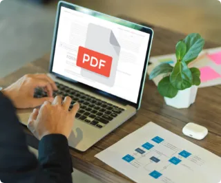 PDF