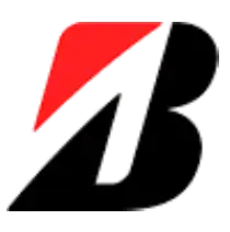 Bridgestone National Fleet Program